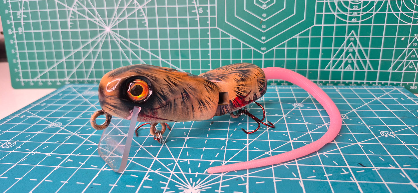 EC Rodent #6