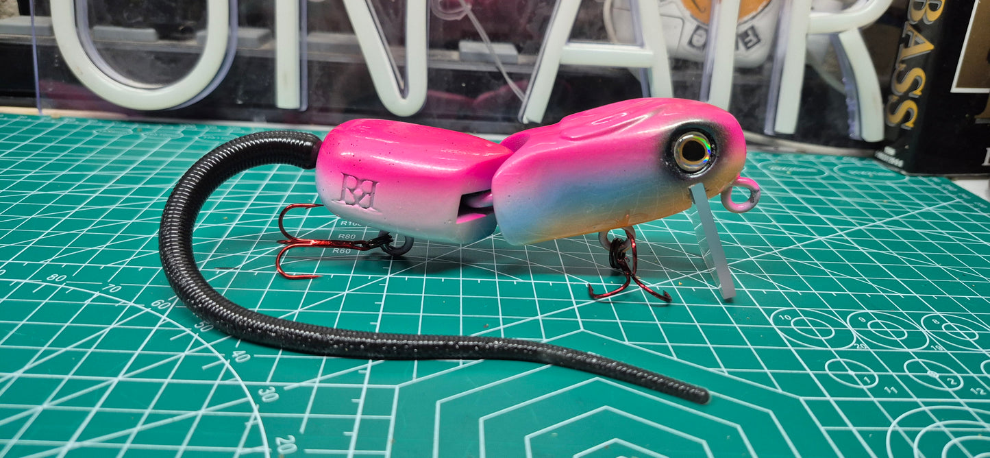 EC Rodent 2