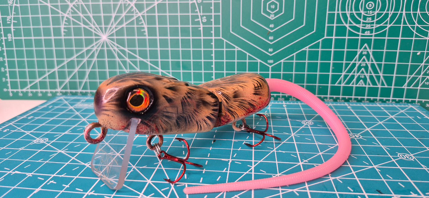 EC Rodent #5