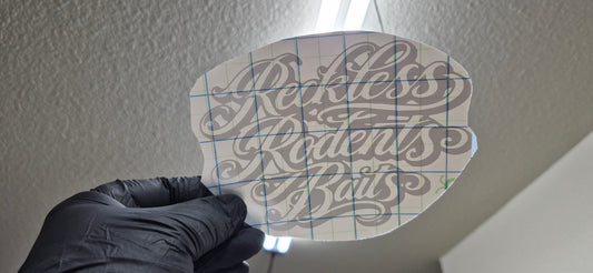 Reckless Rodents baits #1  6×4