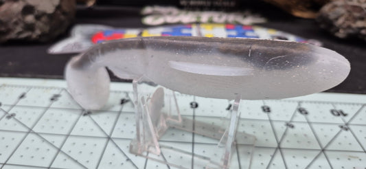 New 7 incher Big Local Thin Swimbait 2