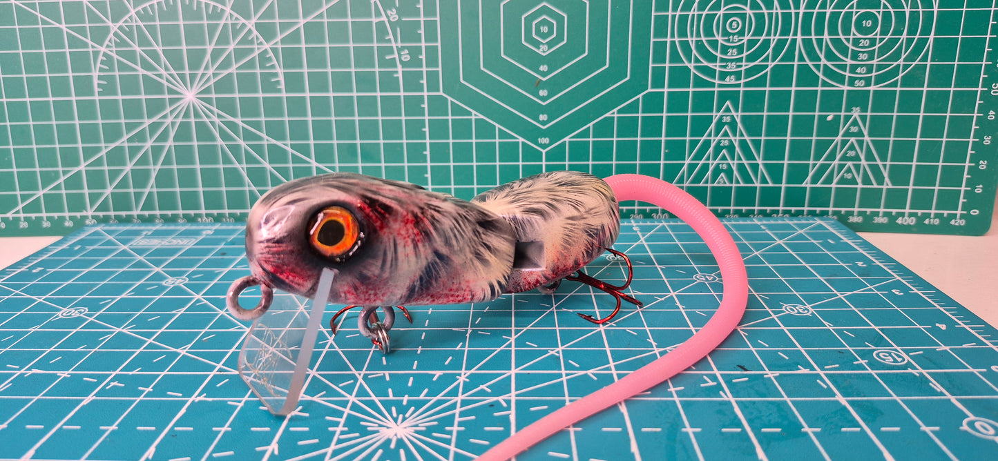 EC Rodent  #4